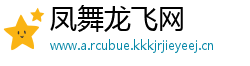 凤舞龙飞网